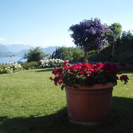 Bio La Tortuga 4* Lucerne
